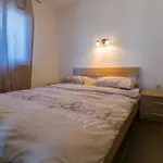 Apartamento In 39042 *
